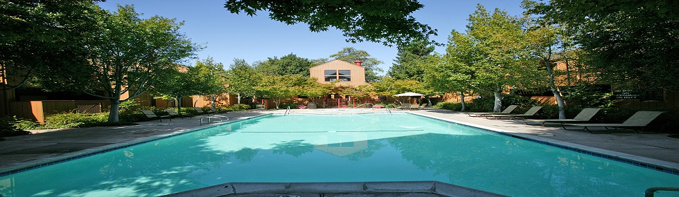 Tg_pool